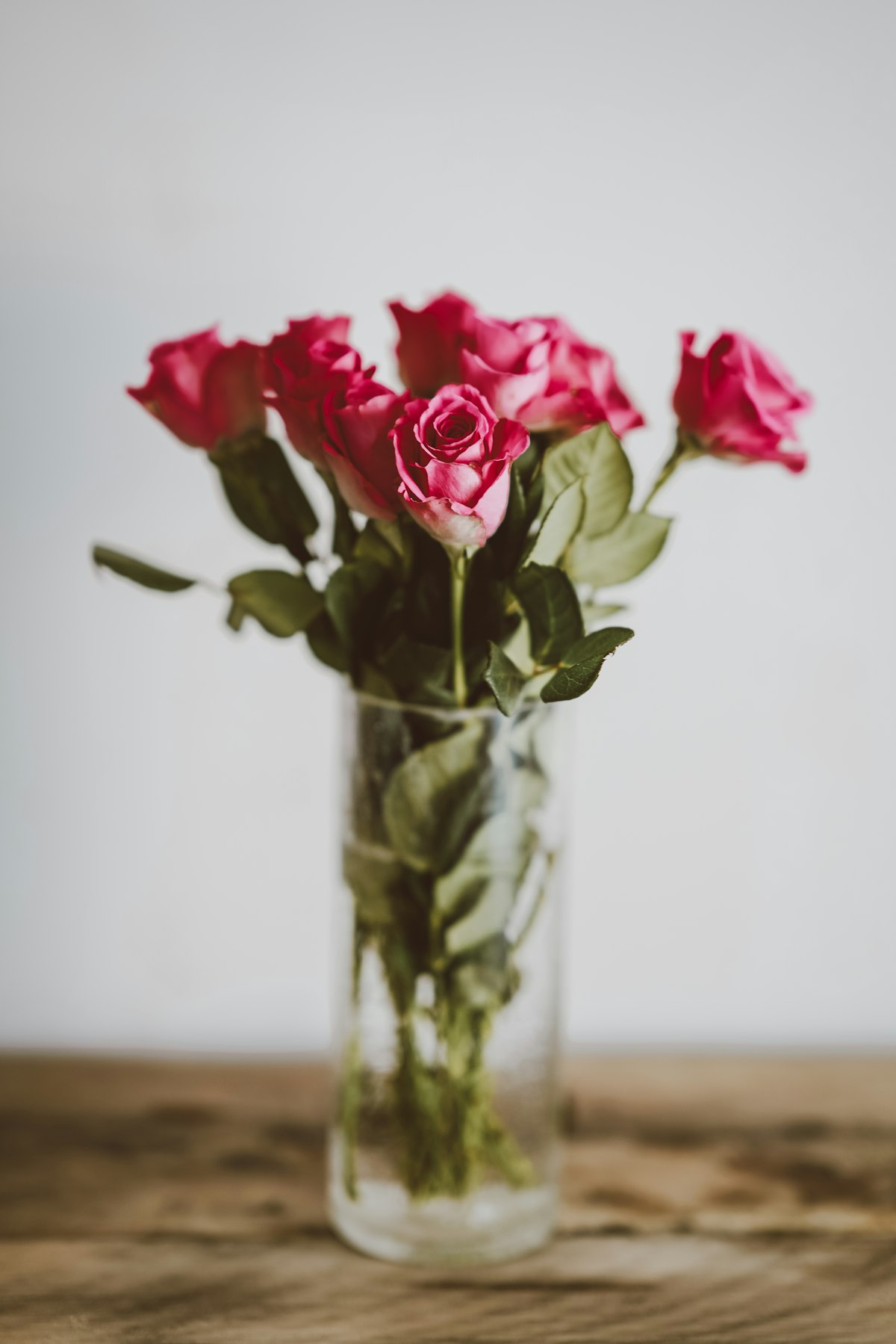 Rosas rosadas y detalles florales
